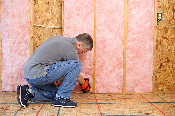 Best Commercial Insulation in Alamosa, CO