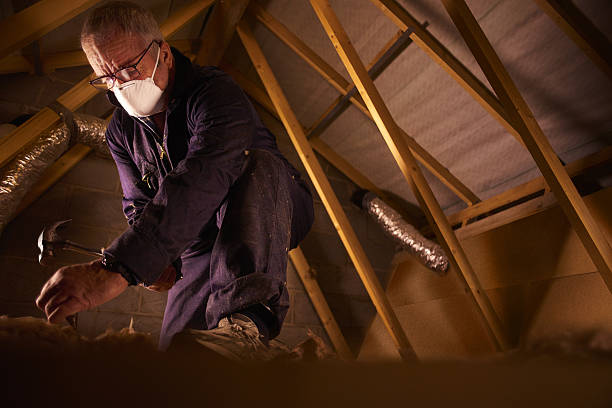 Best Insulation Installation Services in Alamosa, CO